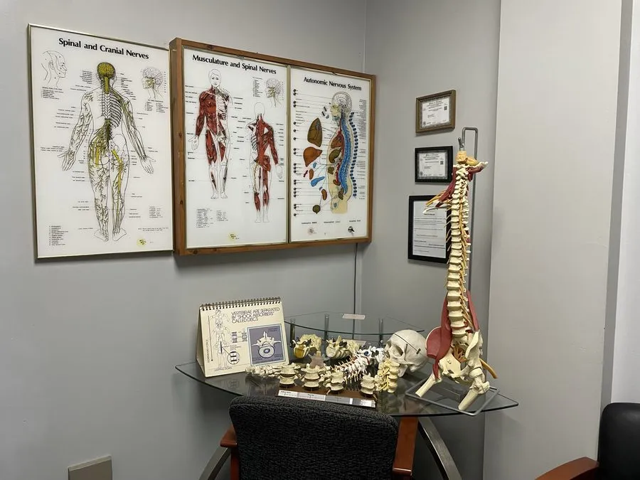Anatomy and spine education posters in a treatment room at Crest Hill Clinic near Joliet, IL