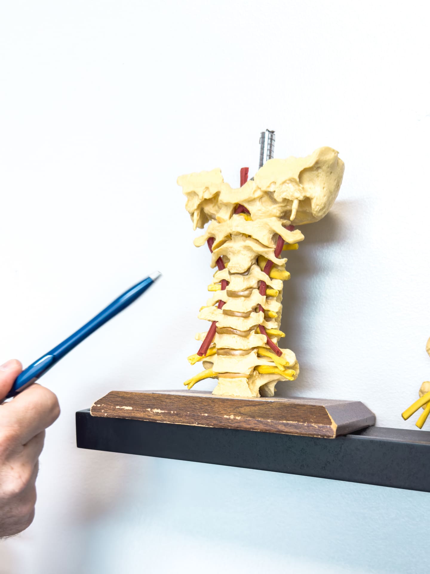 Chiropractor reviewing a patient's chart at Crest Hill Clinic