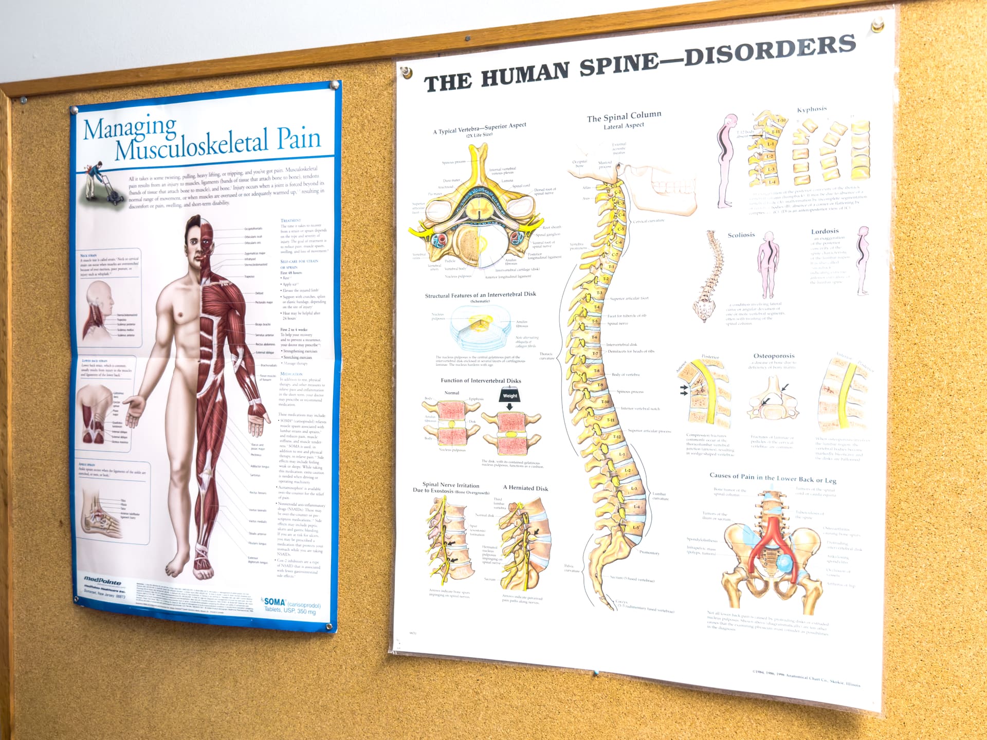 Educational posters
