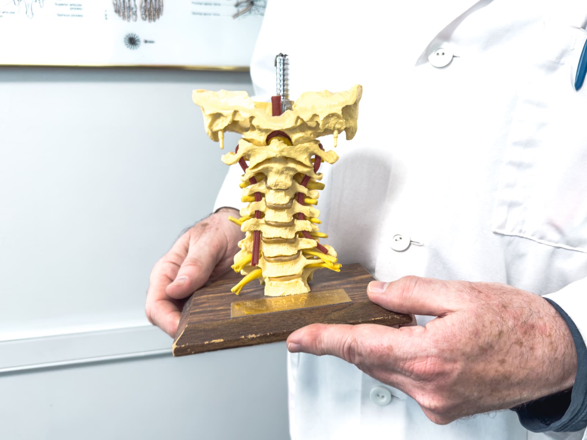 Visual aid for doctor
